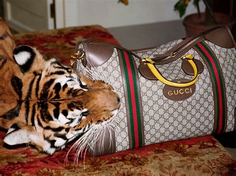 gucci fashion law|gucci trademark lawsuit.